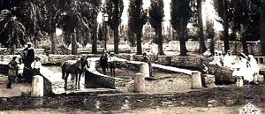 2135- Aflou - Fer a Cheval2 - 1951
